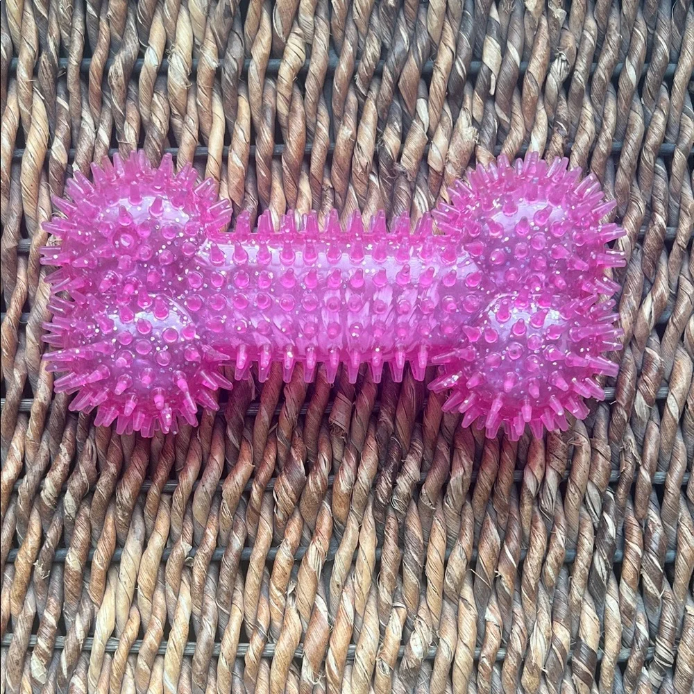 Spiky Pink Dog Bone Toy